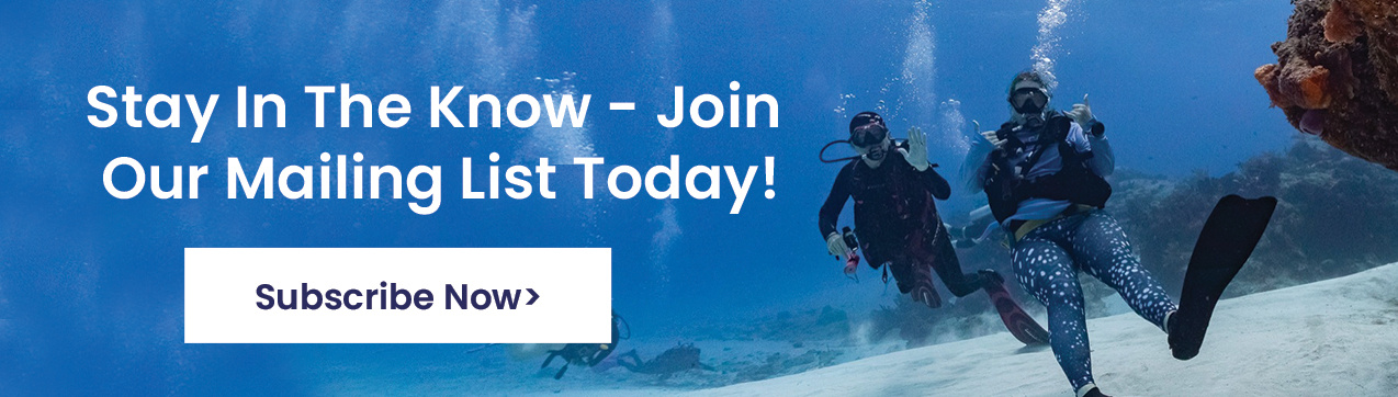 New call-to-action
